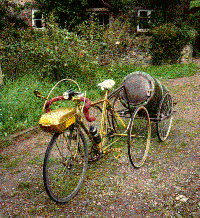 Trike and trailer